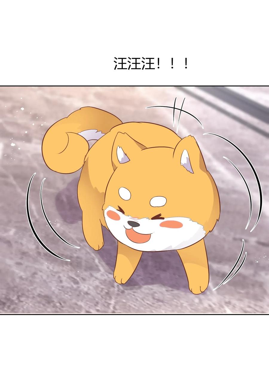 053 柴柴不想分开(1/2)-第62话