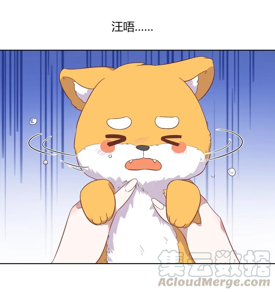 053 柴柴不想分开(1/2)-第62话