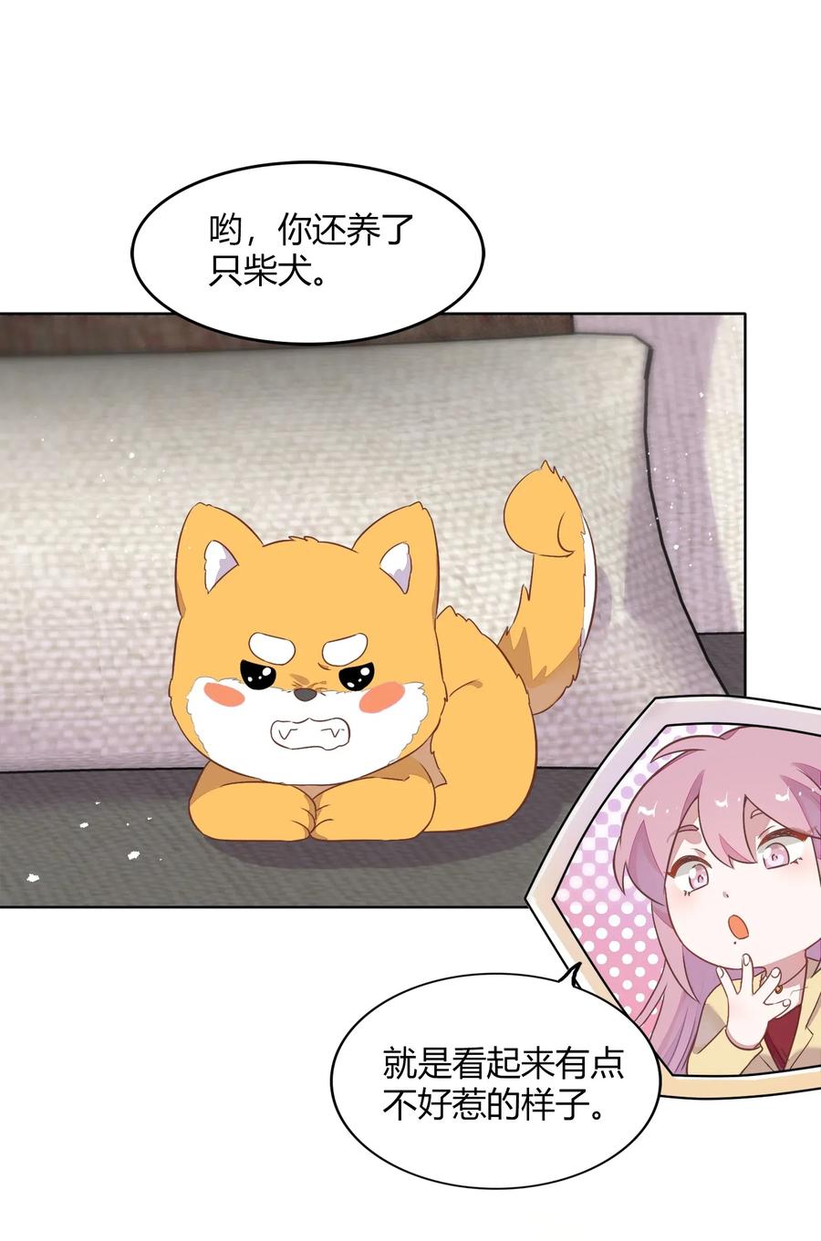 053 柴柴不想分开(1/2)-第62话