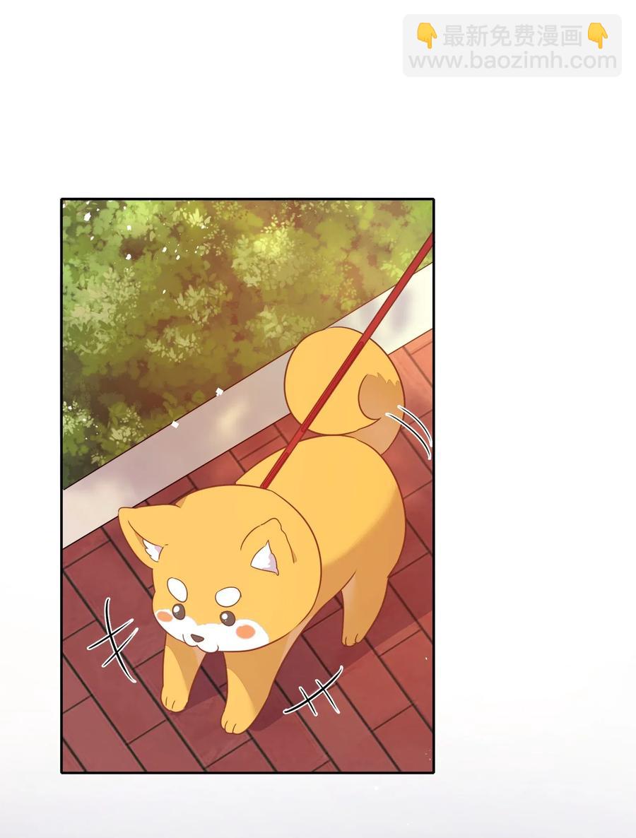 057 柴柴跑丢了？！(1/2)-第66话