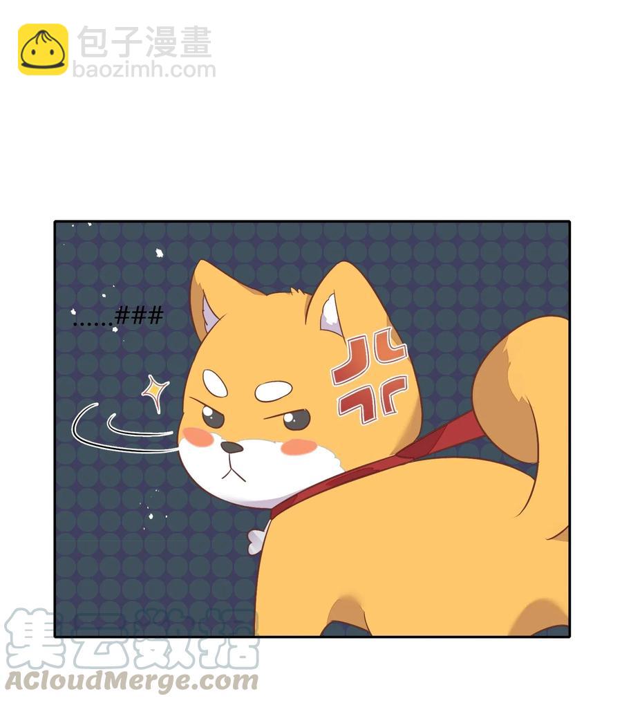 057 柴柴跑丢了？！(1/2)-第66话