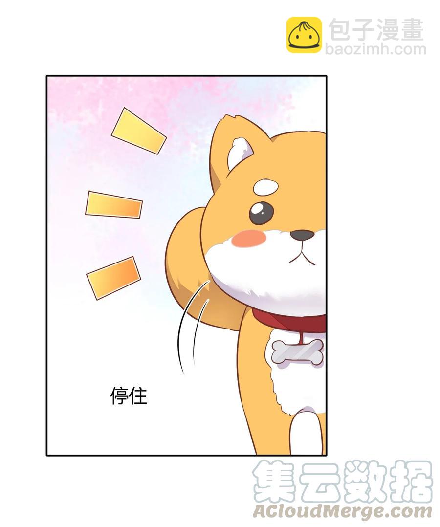 057 柴柴跑丢了？！(1/2)-第66话