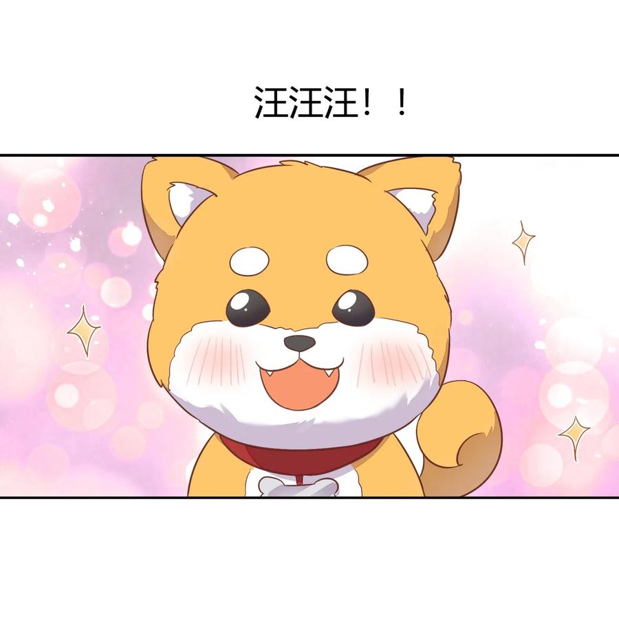 057 柴柴跑丢了？！(1/2)-第66话