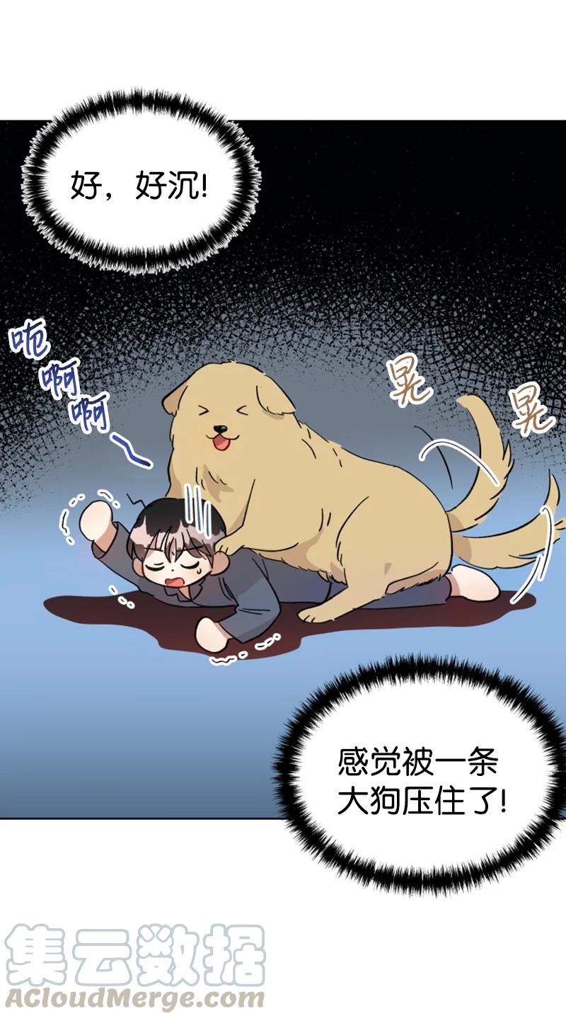 04 新搬来的邻居(1/2)-第4话