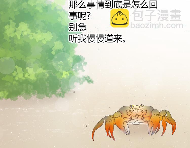 第41话 能够实现愿望的海边(1/2)-第42话