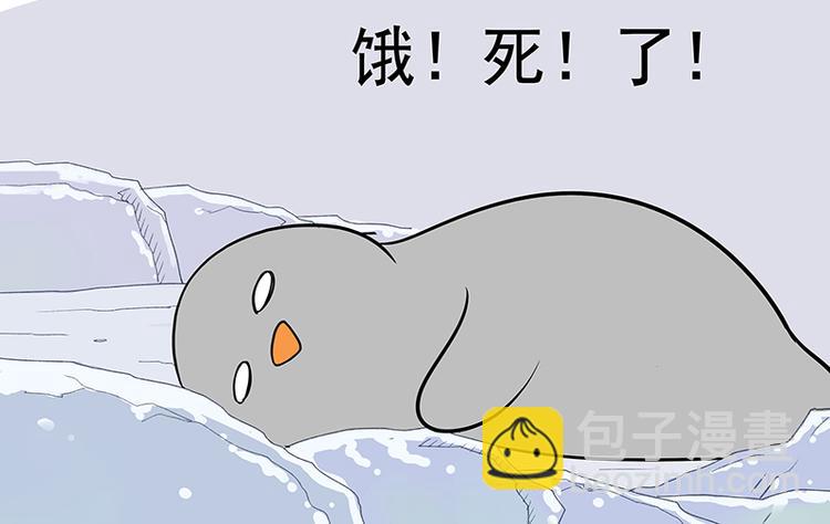 第9话 遇到小海豹-第10话