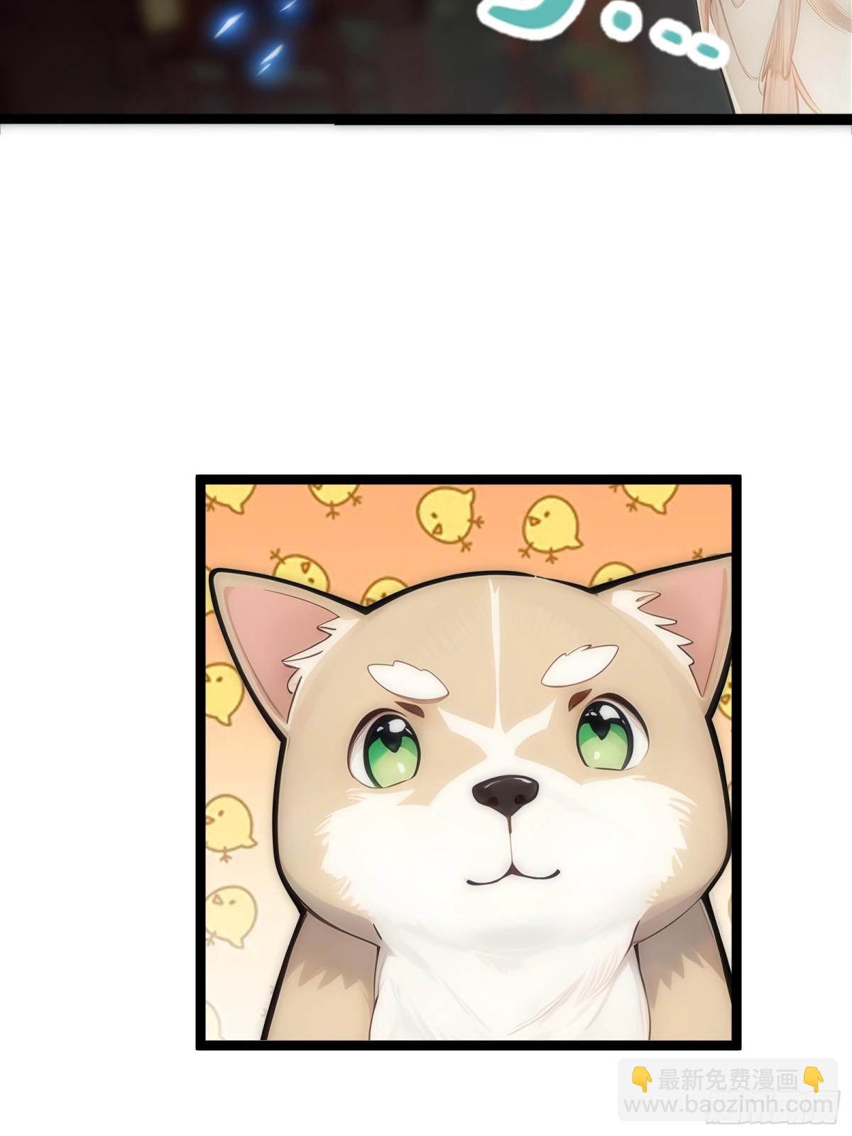 12   你是真的狗！(1/2)-第12话