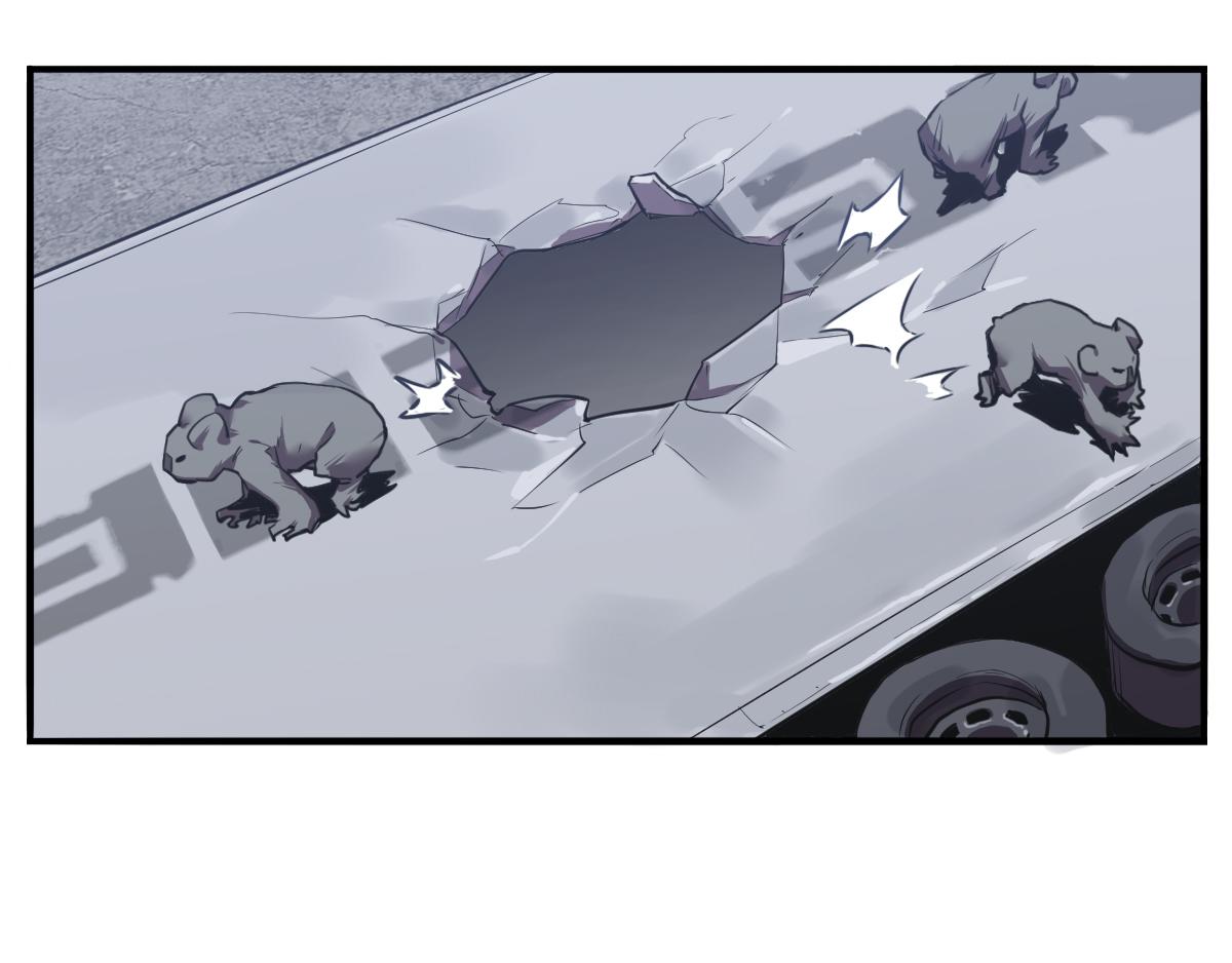 第21话 考拉来袭！(1/2)-第22话