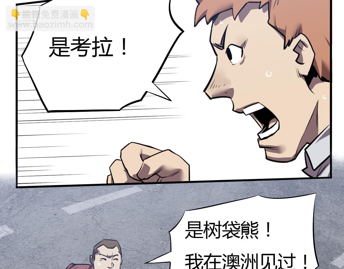第21话 考拉来袭！(1/2)-第22话