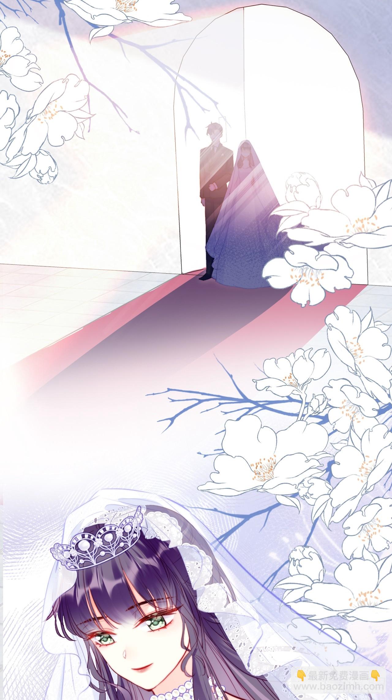 番外：大婚+新作宣传-第96话