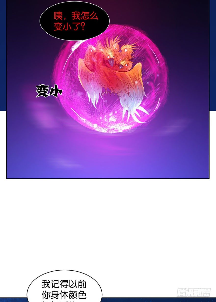 第十五话  姐，不要死(1/2)-第16话