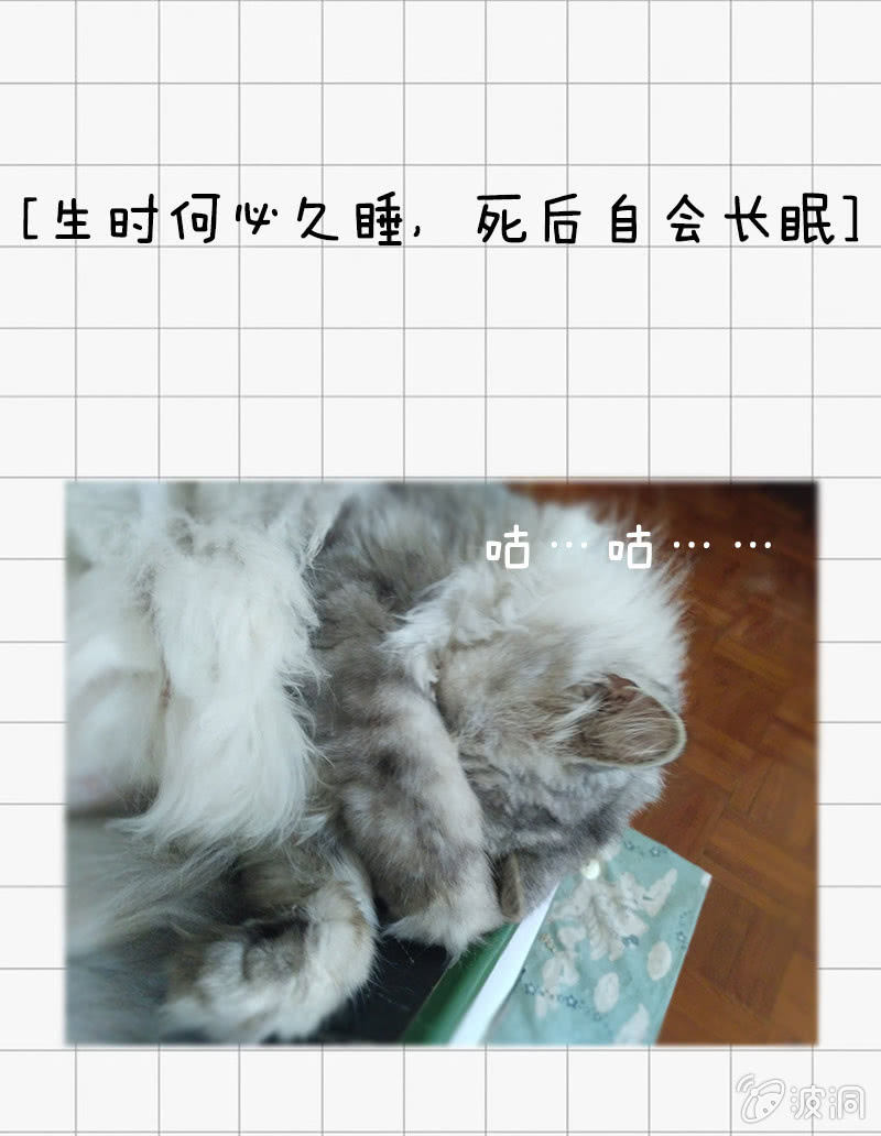 我鞭故我在-第16话