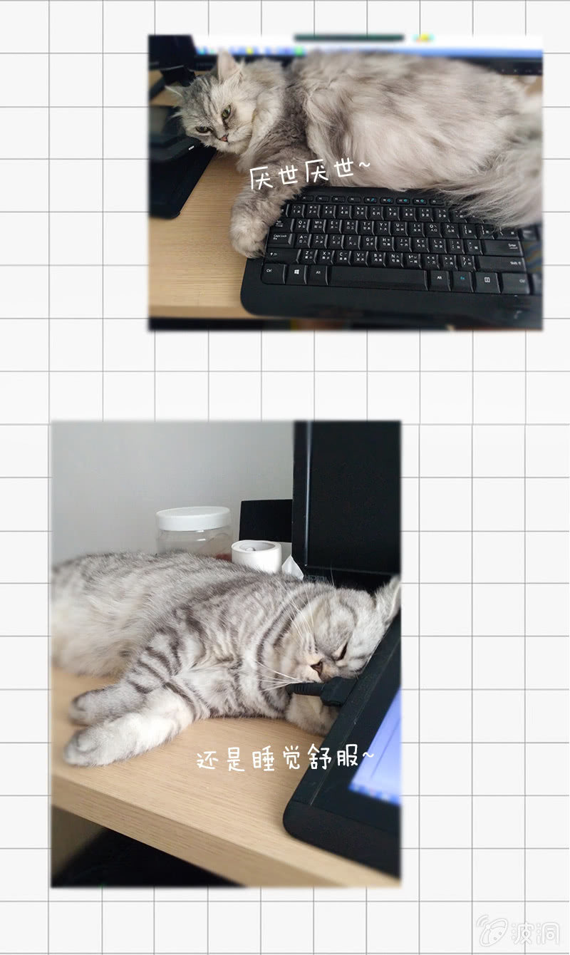 妖魔之激辩论-第24话