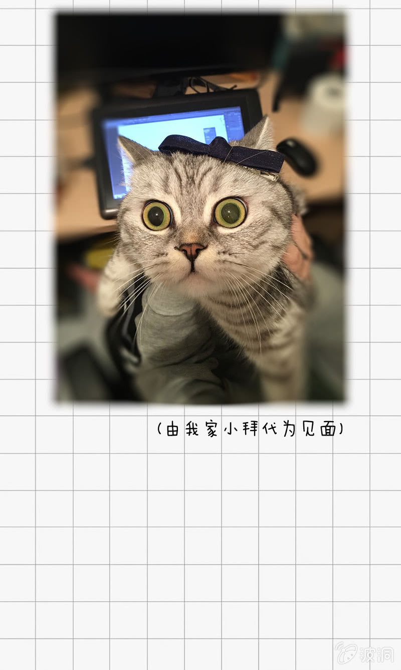 魔山雪莲-第8话