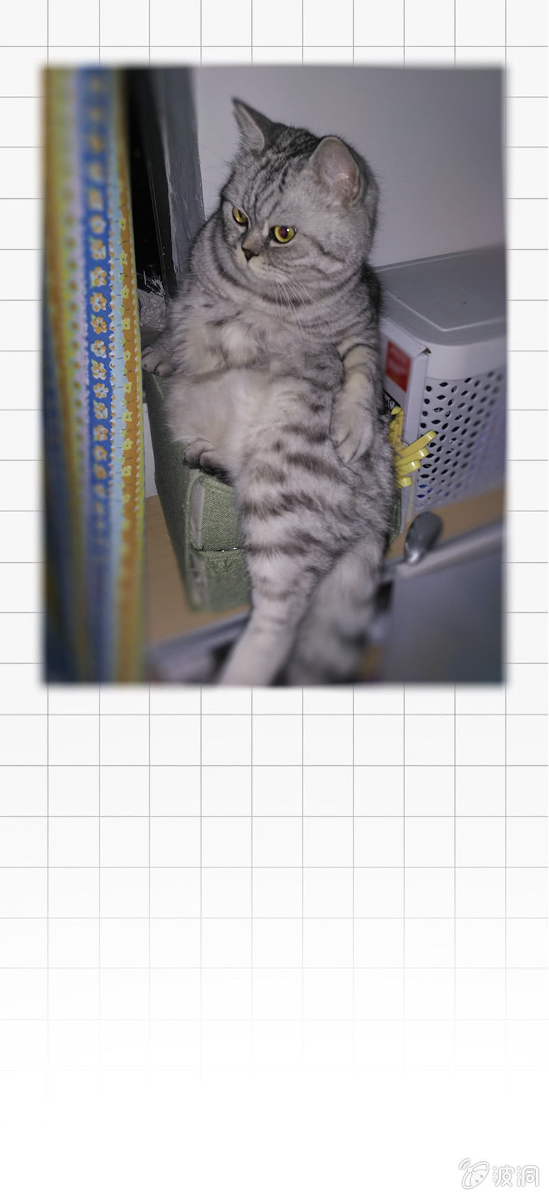 同居好闺蜜-第10话