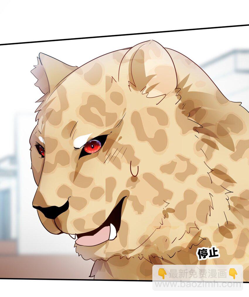 031 无可取代-第34话