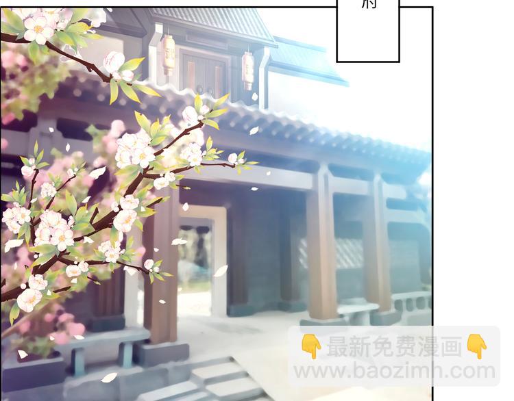 逆天嫡女：仙尊，寵上天！ - 第2話 奇葩家庭 - 6