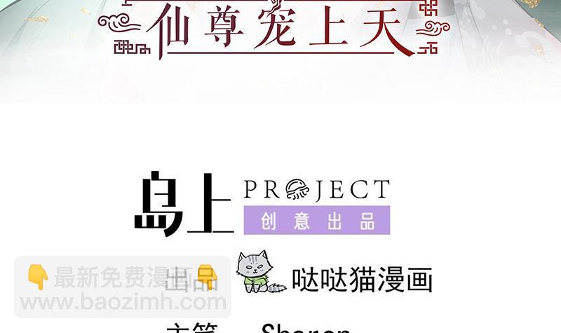 逆天嫡女：仙尊，寵上天！ - 第64話 還能是誰 - 3