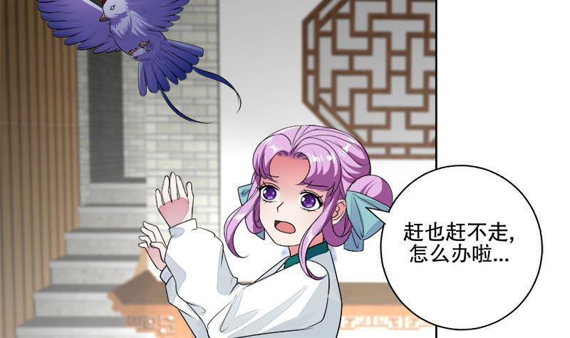 逆天嫡女：仙尊，寵上天！ - 第66話 黑靈鳥 - 6