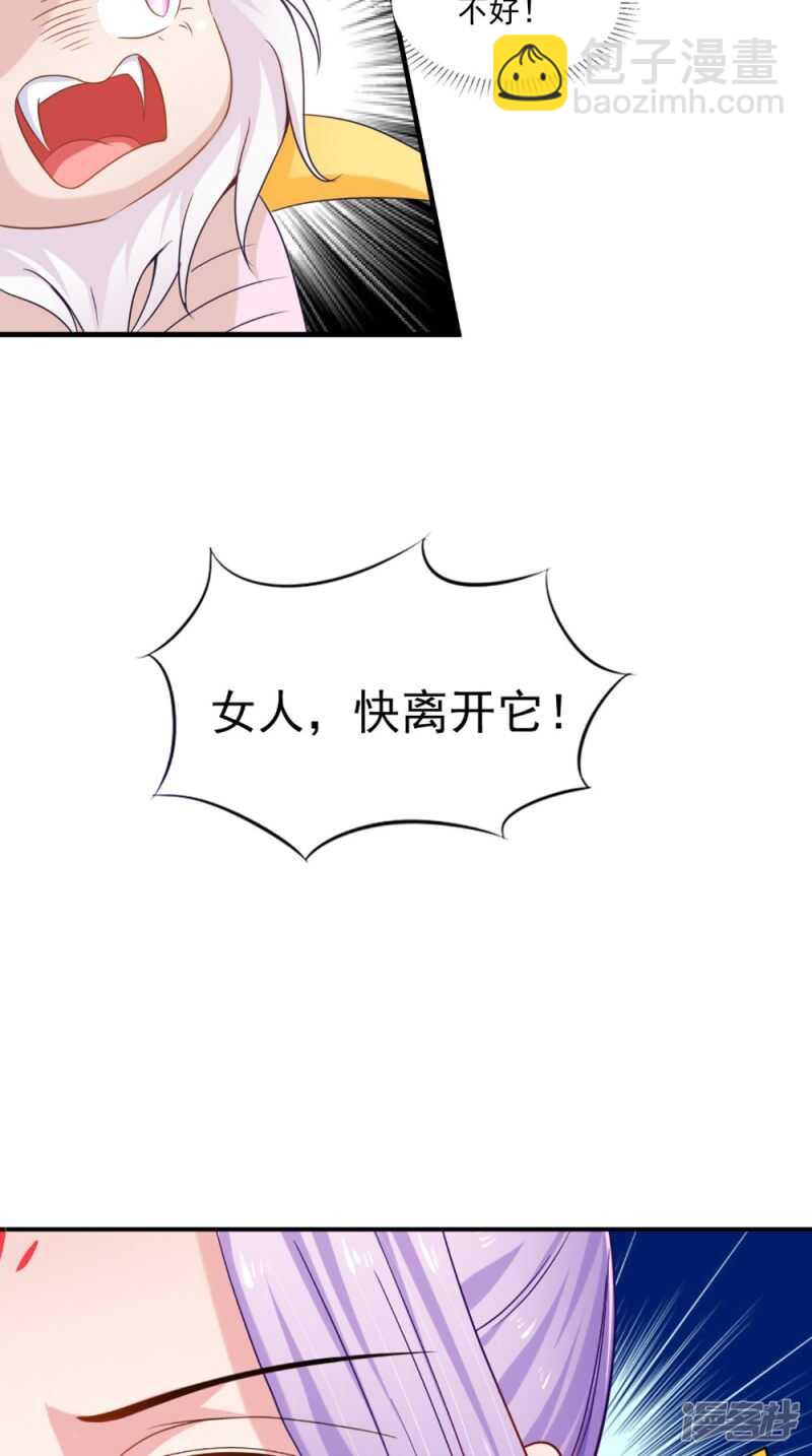 第65话 猫咪变狐狸-第66话