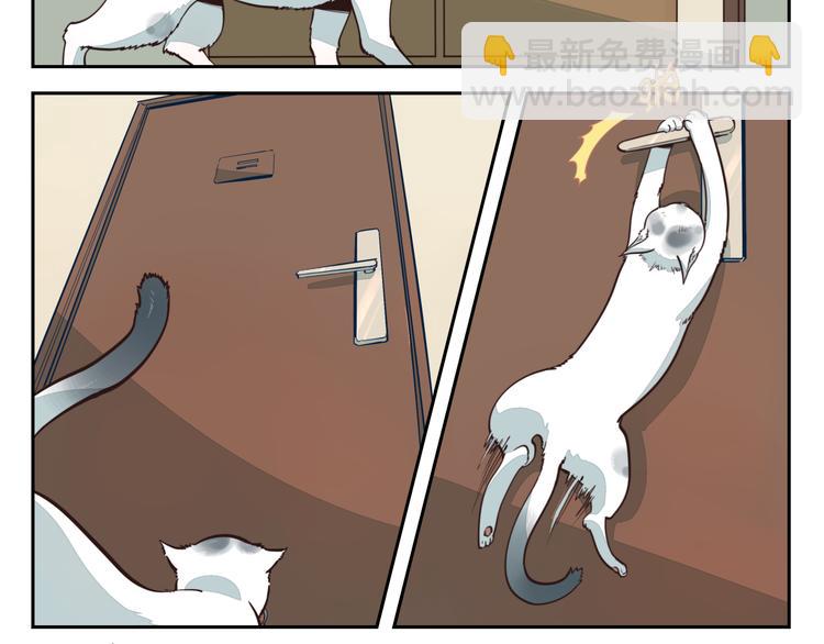 第2话 相遇-第2话