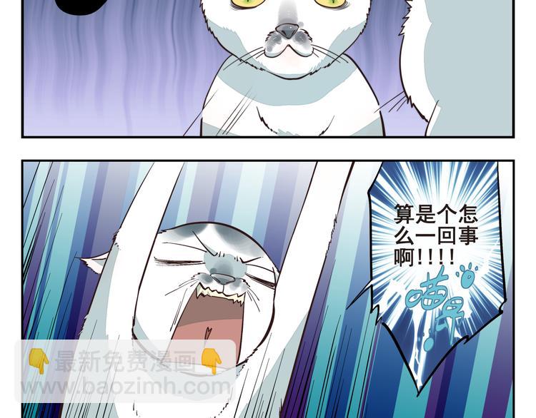 第2话 相遇-第2话