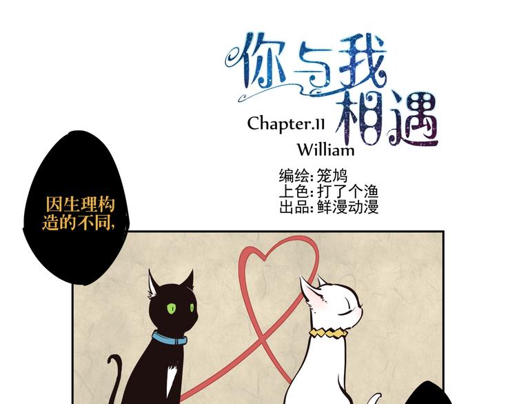 第11话 William-第12话