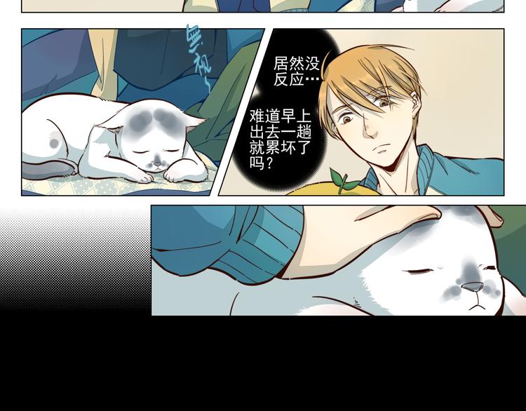 第13话 薛定谔的粉丝信-第14话