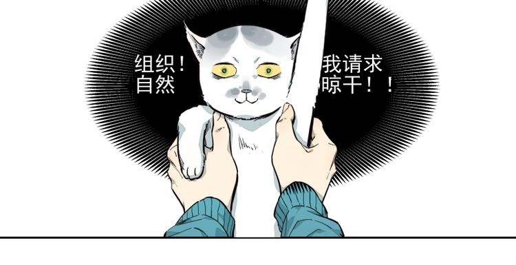 第39话 疑问-第40话