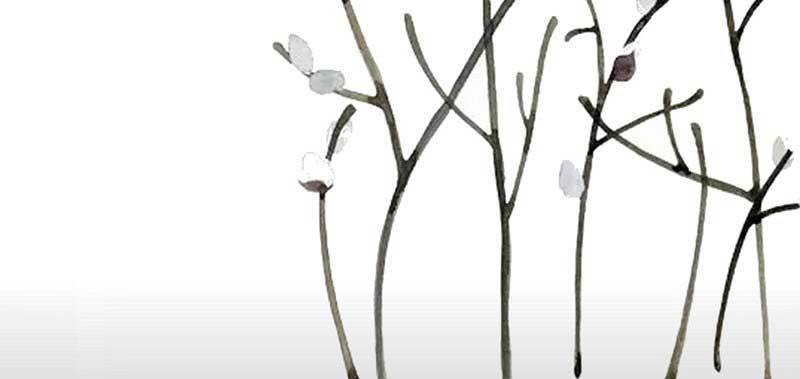 34  要不要补给你(1/2)-第34话