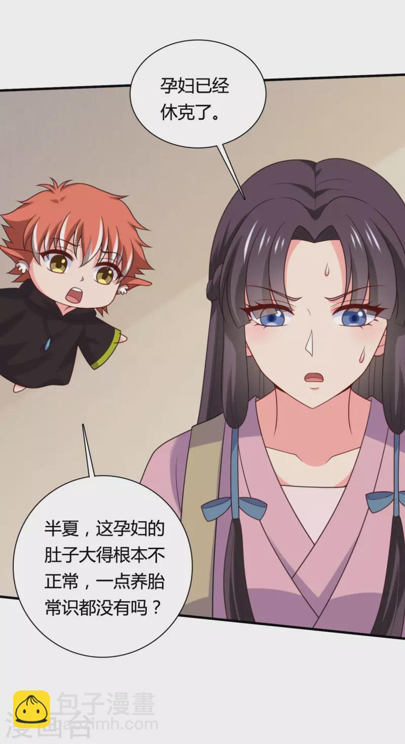 農家娘子有喜了 - 第144話 半夏出手，母子平安 - 6