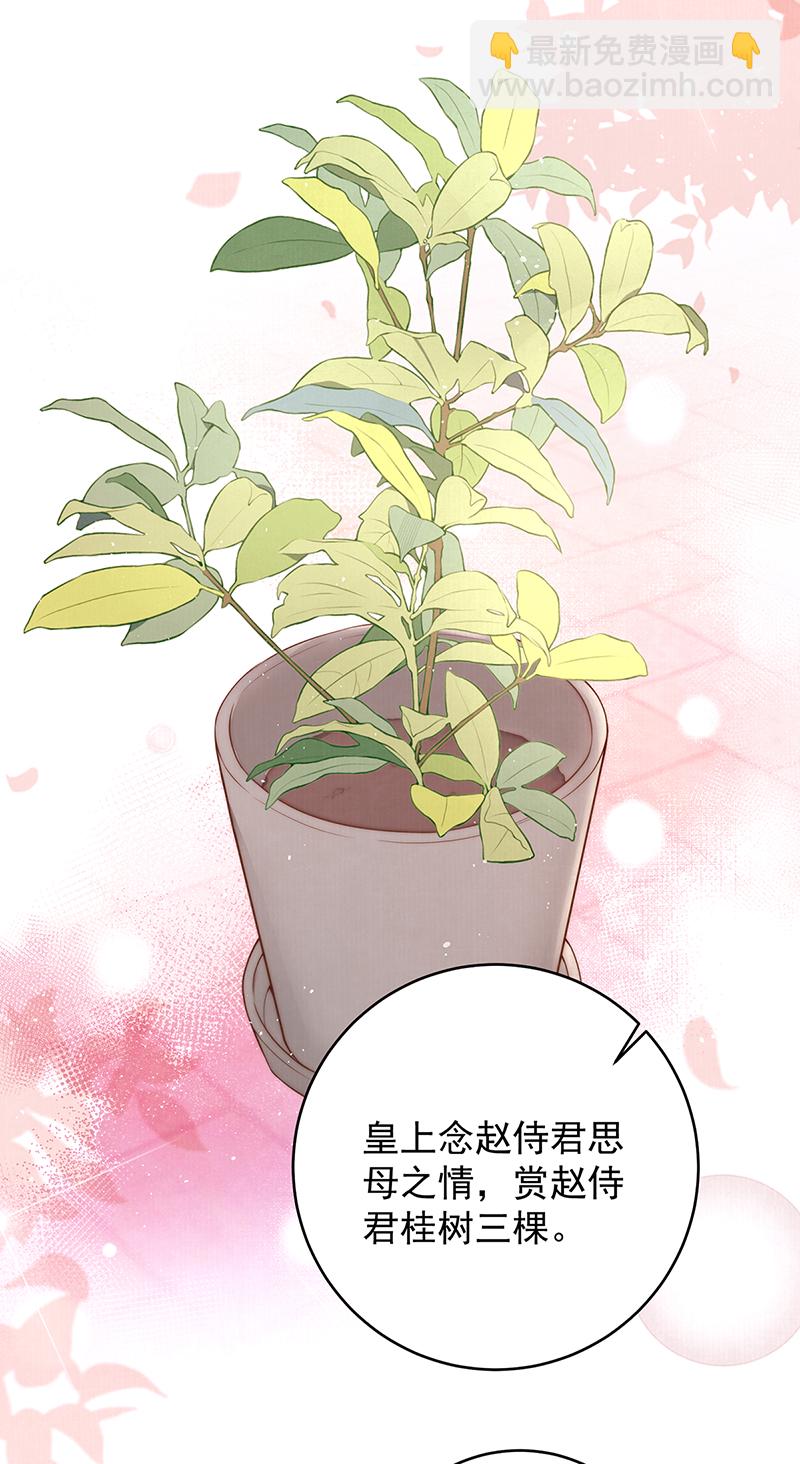 第26话 赐汝桂树三棵-第26话