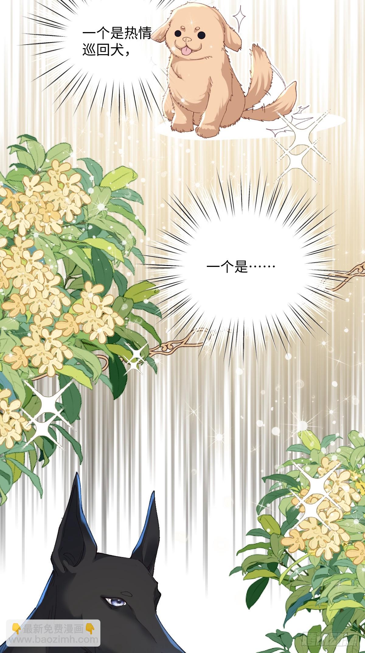 20 船匪(1/2)-第22话