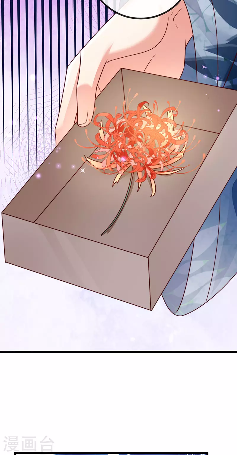 第61话 大漠边疆彼岸花-第64话