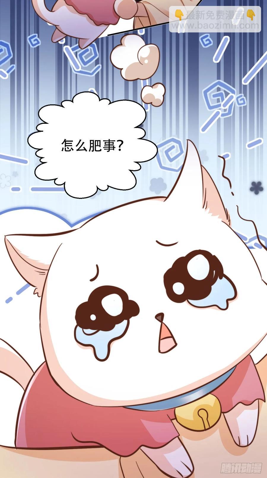 125 猫猫化形了？！-第126话