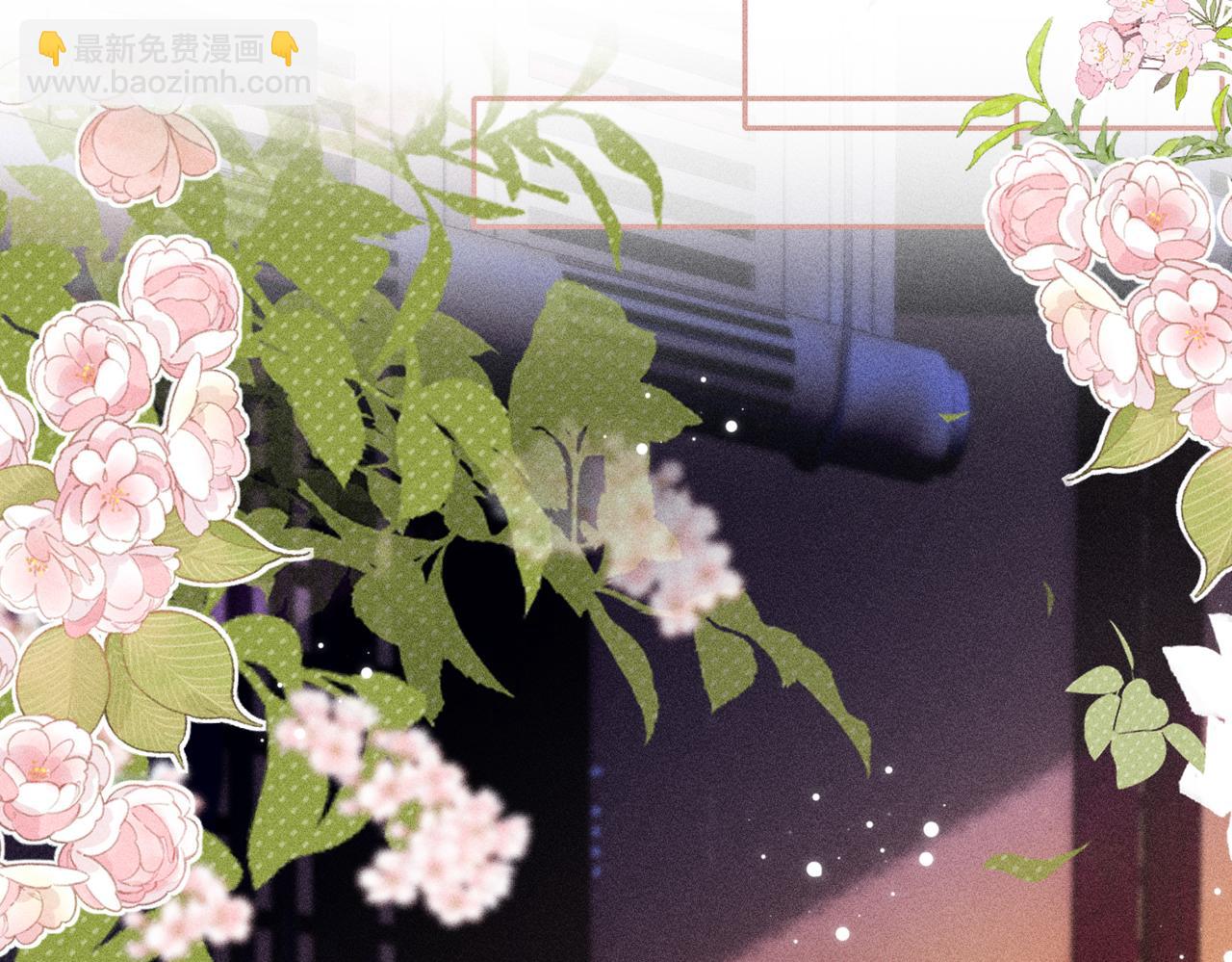 第26话(1/2)-第54话