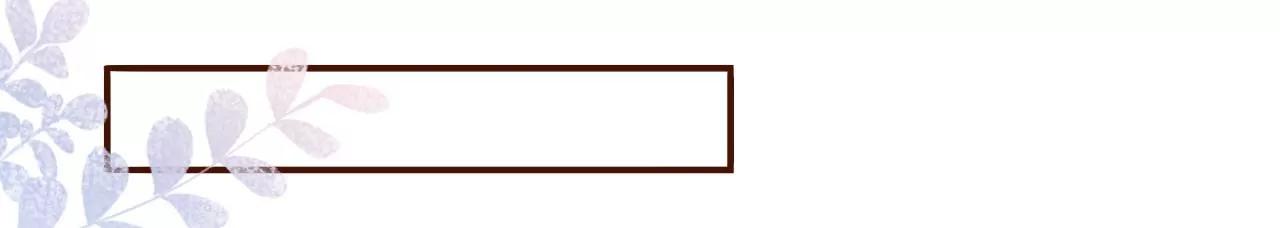 无心插柳(1/2)-第110话