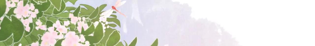 撩人的玫瑰(1/2)-第36话