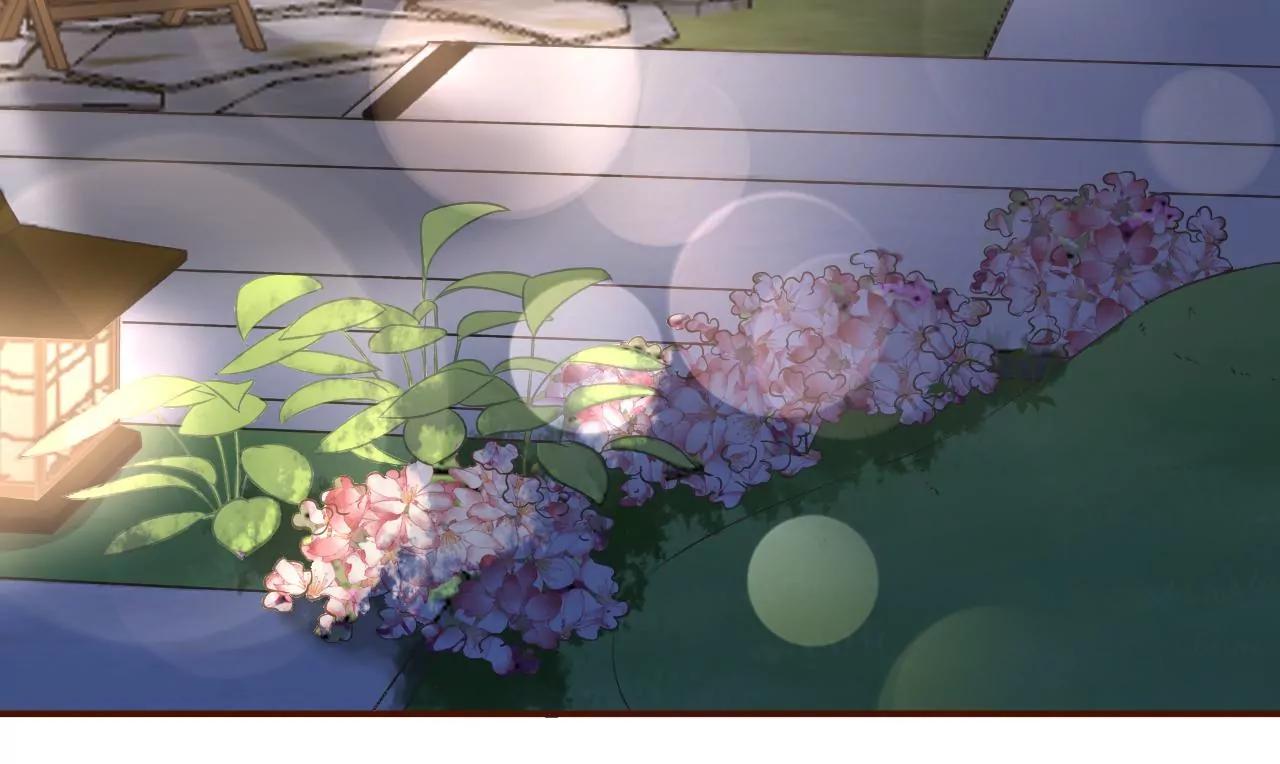 庆祝(1/2)-第40话