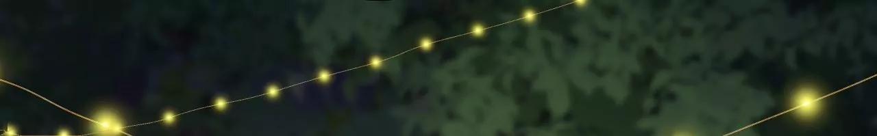 庆祝(1/2)-第40话