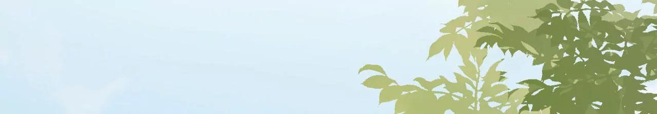 爱她的方式(1/2)-第82话