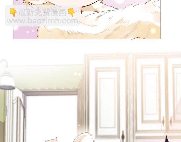 番外 喵仆驾到(1/2)-第16话