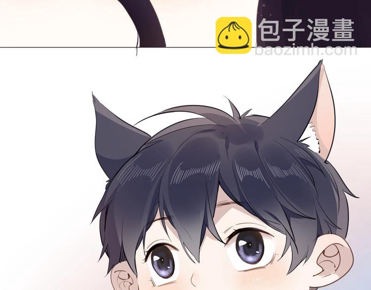 番外 喵仆驾到(1/2)-第16话