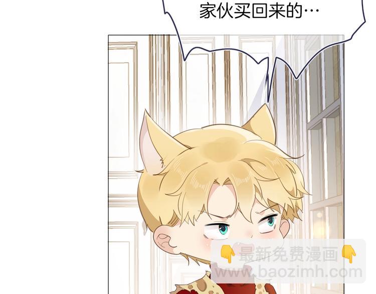 番外 喵仆驾到(1/2)-第16话