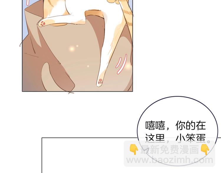 番外 喵仆驾到(1/2)-第16话