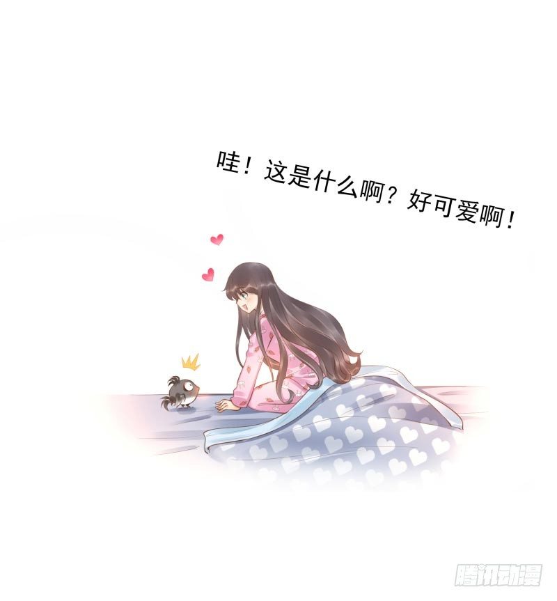 第16话：南界汇合(1/2)-第16话