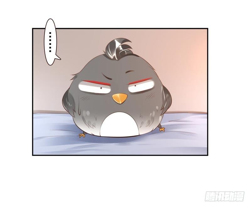 第16话：南界汇合(1/2)-第16话