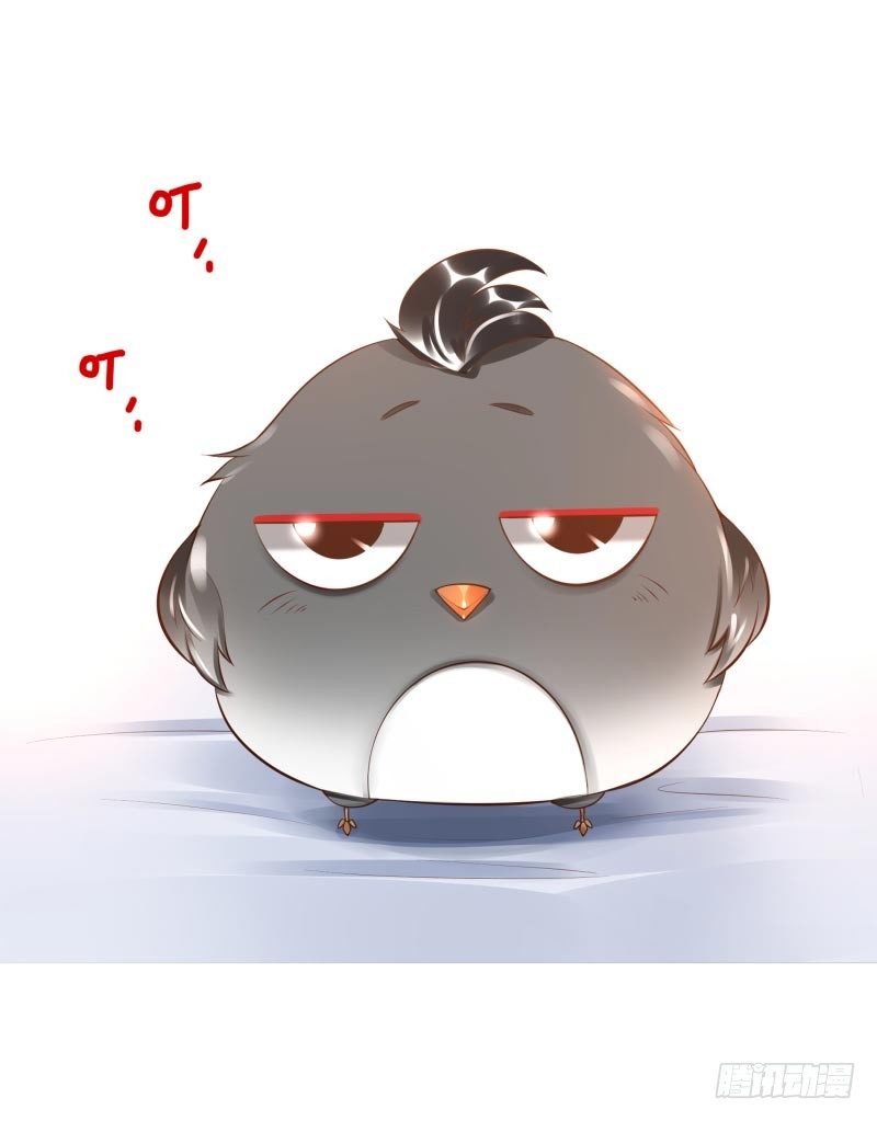 第16话：南界汇合(1/2)-第16话