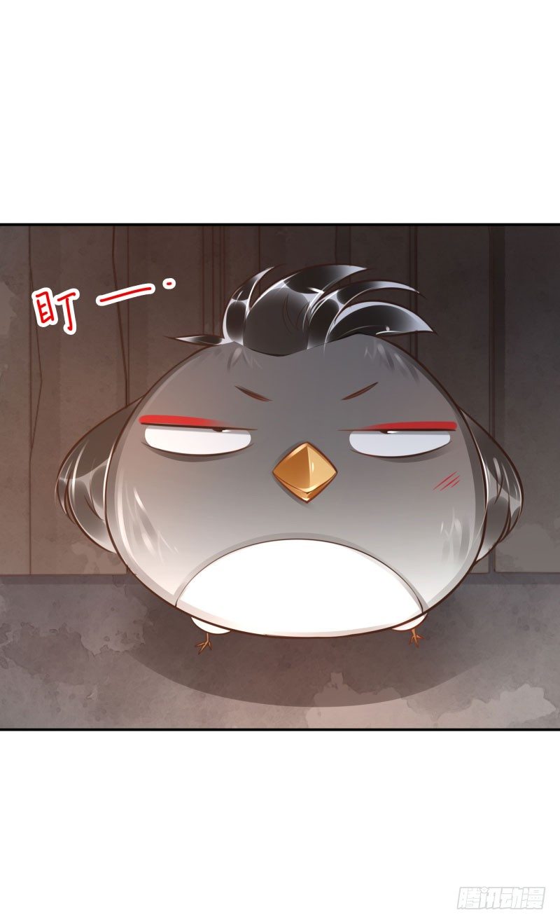 第50话：无回头路-第50话