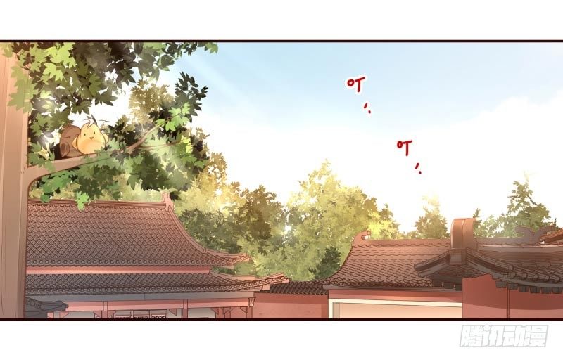 第8话：把我哥哥变成人(1/2)-第8话